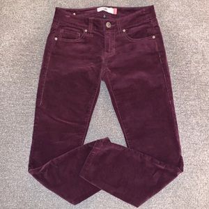 Cabi Jeans